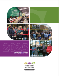 2025 FCI Impact report cover icon